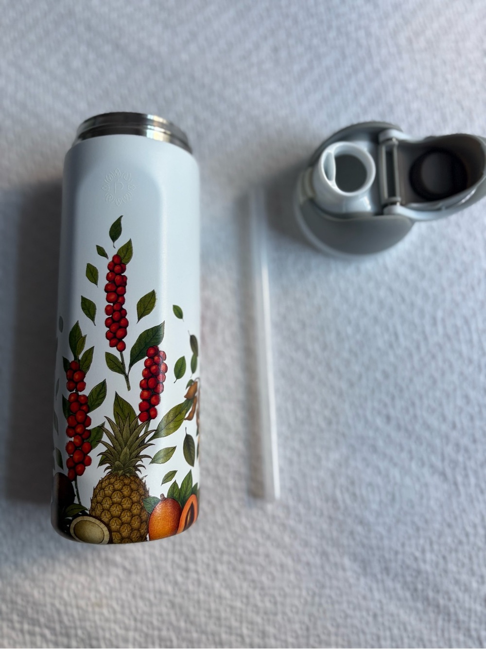 El Salvador Fruit art Insulated Water Bottle with Straw